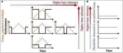 The Higher the Needs, the Lower the Tolerance: Extreme Events May Select Ectotherm Recruits With Lower Metabolic Demand and Heat Sensitivity